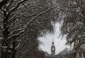 The Houses of Parliament are seen through snow covered trees in London The Houses of Parliament are seen through snow covered trees in London