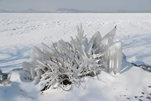 An ice covered bush is seen during a winter day on the shore of lake Balaton in Fonyod An ice covered bush is seen during a winter day on the shore of lake Balaton in Fonyod