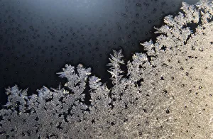 Ice crystals are seen on a window in the New York City suburb of Nyack Ice crystals are seen on a window in the New York City suburb of Nyack