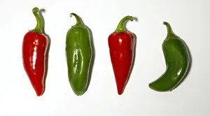 Jalapeno peppers are pictured in Encinitas Jalapeno peppers are pictured in Encinitas