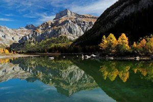Larches are pictured in front of the Mont Gond on a warm autumn day near a lake in Larches are pictured in front of the Mont Gond on a warm autumn day near a lake in