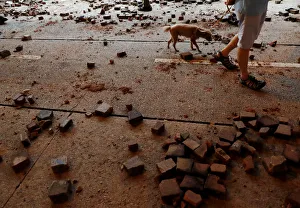 A man carrying a pet dog walks past stones thrown by anti-government protesters in Hong A man carrying a pet dog walks past stones thrown by anti-government protesters in Hong
