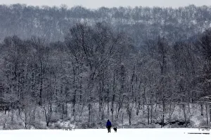 A man and dog walk in the falling snow in Rockland Lake State Park near the Hudson River A man and dog walk in the falling snow in Rockland Lake State Park near the Hudson River