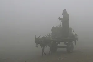 A man guides his donkey and cart in heavy smog in Lahore A man guides his donkey and cart in heavy smog in Lahore