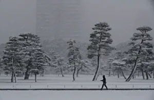 A man makes his way in the heavy snow at the Imperial Palace in Tokyo A man makes his way in the heavy snow at the Imperial Palace in Tokyo