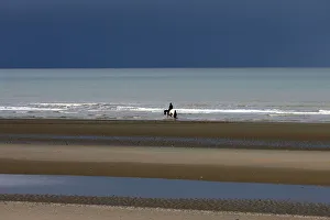 A man rides a horse along a beach in the seaside town of Zeebrugge A man rides a horse along a beach in the seaside town of Zeebrugge