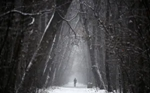 A man walks at a park during a snowfall in downtown Sofia A man walks at a park during a snowfall in downtown Sofia