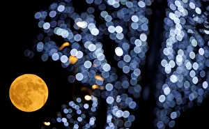 The full moon is pictured behind Christmas lights in Marseille The full moon is pictured behind Christmas lights in Marseille
