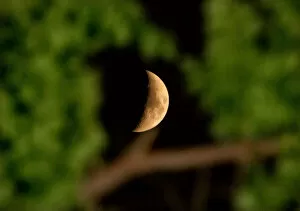 Images Dated 9th October 2005: The moon is seen through the branches of a tree in Tehran