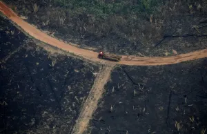 Aerial View of Deforested Amazon Land Print