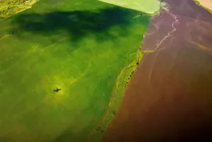 Prints of The shadow of a plane is seen in a field shortly after take-off from Samara Airport in Russia, July 8, 2018 Samara Prints: FIFA World Cup Print: A Plane's Shadow in a Field