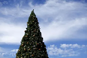 An outdoor artificial Christmas tree is displayed at a shopping center in San Diego An outdoor artificial Christmas tree is displayed at a shopping center in San Diego