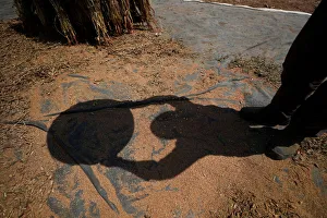 Palestinian man casts shadow as he refines sesame to be sold in markets, near Nablus Palestinian man casts shadow as he refines sesame to be sold in markets, near Nablus
