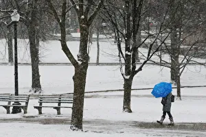 A pedestrian walks through Boston Common during a winter snow storm in Boston A pedestrian walks through Boston Common during a winter snow storm in Boston