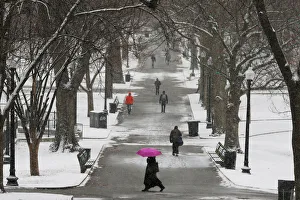 Pedestrians walk through Boston Common during a winter snow storm in Boston Pedestrians walk through Boston Common during a winter snow storm in Boston