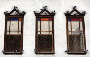 Pegeons are seen perched on windows in the old city of Damascus Pegeons are seen perched on windows in the old city of Damascus