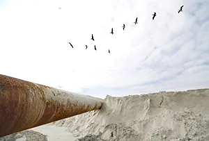 Pelicans fly above dredging equipment at St. Augustine Beach in Florida Pelicans fly above dredging equipment at St. Augustine Beach in Florida