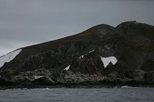 Penguins congregate in Maxwell Bay, Antarctica Penguins congregate in Maxwell Bay, Antarctica