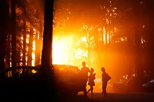 People are seen during sunset in a forest on the outskirts of Minsk People are seen during sunset in a forest on the outskirts of Minsk