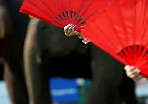 Performers are seen before a match at the annual Kings Cup Elephant Polo Tournament at a Performers are seen before a match at the annual Kings Cup Elephant Polo Tournament at a