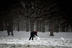 A person rolls a snowman at the Phoenix Park in Dublin A person rolls a snowman at the Phoenix Park in Dublin