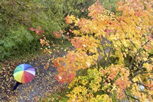 A person walks in a park on a rainy autumn day in the southern German city of Lindau A person walks in a park on a rainy autumn day in the southern German city of Lindau