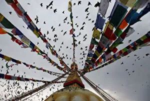 Pigeons take flight at Boudhanath Stupa during Vesak Day in Kathmandu Pigeons take flight at Boudhanath Stupa during Vesak Day in Kathmandu