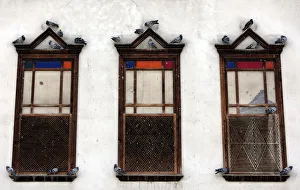 Pigeons are seen perched on windows in the old city of Damascus Pigeons are seen perched on windows in the old city of Damascus
