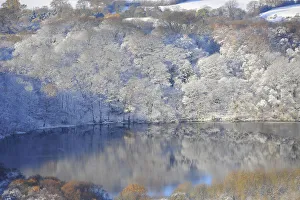 Reflections of snow covered trees are seen in a lake near Sutton Bank Reflections of snow covered trees are seen in a lake near Sutton Bank