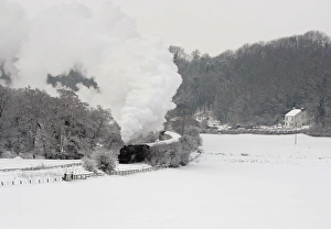 Snowy Landscape Photography Prints: RTXVDRH