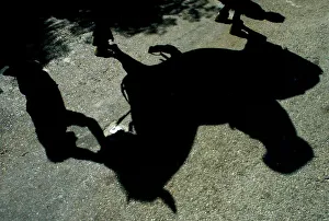 Shadow of a rider on his horse is reflected on a street during Saint John festival in Shadow of a rider on his horse is reflected on a street during Saint John festival in