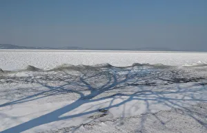 The shadow of a tree is seen during a winter day on the shore of Lake Balaton in Fonyod The shadow of a tree is seen during a winter day on the shore of Lake Balaton in Fonyod