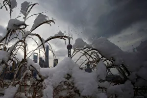 Shanghais financial district is seen at the Bund promenade as snow falls in Shanghai Shanghais financial district is seen at the Bund promenade as snow falls in Shanghai