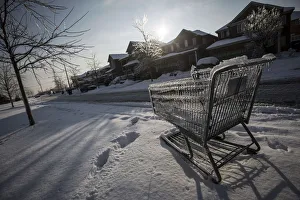 A shopping cart is frozen over, after an ice storm in Toronto A shopping cart is frozen over, after an ice storm in Toronto