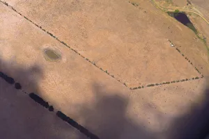 Small dams and lines of trees can be seen in a paddock on a farm located on the outskirts Small dams and lines of trees can be seen in a paddock on a farm located on the outskirts