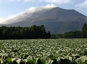 Smoke rises from Mount Asama volcano in Japan Smoke rises from Mount Asama volcano in Japan
