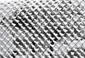 Snow covers a fence in Martaba village near the Lebanese-Israeli border, in south Lebanon Snow covers a fence in Martaba village near the Lebanese-Israeli border, in south Lebanon