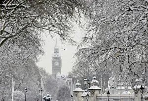 Snow covers tree branches in front of the Houses of Parliament Snow covers tree branches in front of the Houses of Parliament