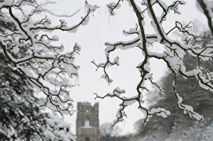 Snow hangs on trees in front of Fountains Abbey in Ripon Snow hangs on trees in front of Fountains Abbey in Ripon