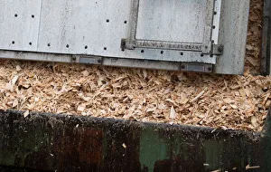 Softwood chips, a residual of the sawmills softwood lumber is deposited for making Softwood chips, a residual of the sawmills softwood lumber is deposited for making