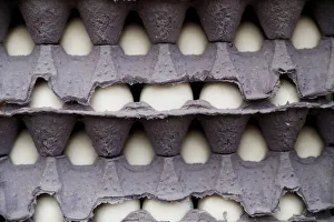 Stacks of eggs are seen on a local shop in Mexico City Stacks of eggs are seen on a local shop in Mexico City