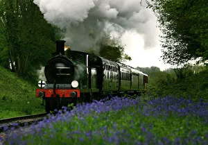 A steam engine runs through a cutting of bluebells between Sheffield Park and Horsted A steam engine runs through a cutting of bluebells between Sheffield Park and Horsted