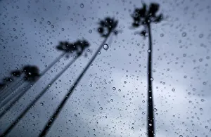 A storm brings moisture to drought stricken Southern California as palm trees are blown A storm brings moisture to drought stricken Southern California as palm trees are blown