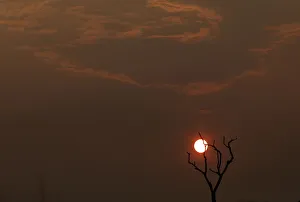 The sun sets behind a burned tree amid smoke as a tract of Amazon jungle burns as it is The sun sets behind a burned tree amid smoke as a tract of Amazon jungle burns as it is