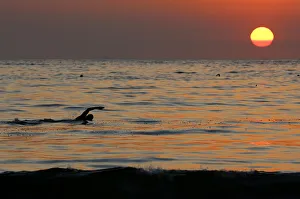 A swimmer practices in the waters of Copacabana beach as the sun rises in Rio de Janeiro A swimmer practices in the waters of Copacabana beach as the sun rises in Rio de Janeiro