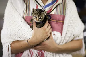 Swiss girl in traditional costume holds a kitten before the so-called Desalpe in Charmey Swiss girl in traditional costume holds a kitten before the so-called Desalpe in Charmey