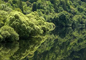 Trees are reflected in the still waters of a river near Eugene, Oregon Trees are reflected in the still waters of a river near Eugene, Oregon