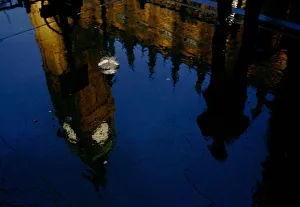 An unidentified Member of Parliament is reflected in a puddle as he hurries into the An unidentified Member of Parliament is reflected in a puddle as he hurries into the
