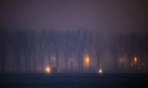 Vehicles drive through fog on a frosty road near Dragos Voda village Vehicles drive through fog on a frosty road near Dragos Voda village