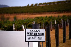 Vines can be seen behind asign on display at the main entrance to Lakes Folly Vineyard Vines can be seen behind asign on display at the main entrance to Lakes Folly Vineyard